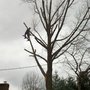 Photo of Bradford's Excavating & Tree Service