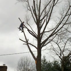 Bradford's Excavating & Tree Service