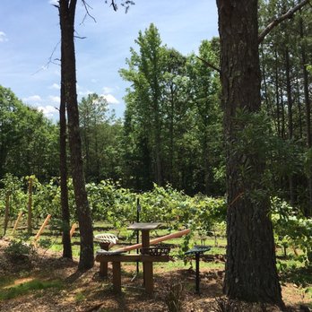 Wellborn Winery - Summer - Wineries Near Me - Travelers Rest, South Carolina Wellborn Winery - Summer - Wineries Near Me - Travelers Rest, South Carolina