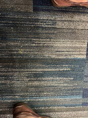 Holiday Inn Express & Suites Williamsburg