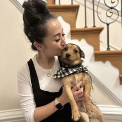 Homeward Trails Animal Rescue - Our latest foster fail from HT- meet YOSHI!