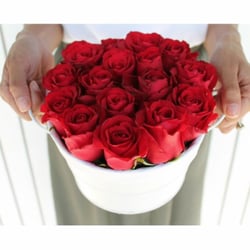 Krazy Daisy Florist