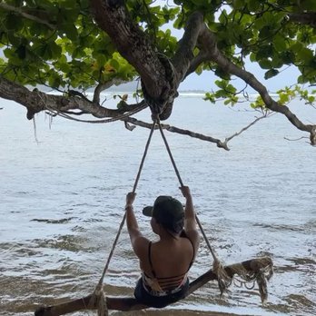 Nourish Hanalei - Swing at the beach after you hike down. - Acai Bowls Near Me - Hanalei, Hawaii Nourish Hanalei - Swing at the beach after you hike down. - Acai Bowls Near Me - Hanalei, Hawaii