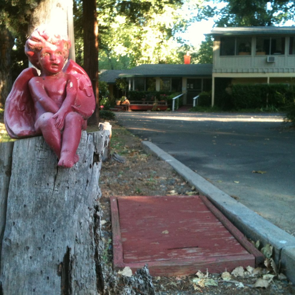 Country Squire Motel - One of the many adorable lawn decorations. - Hotels Near Me - Jackson, California
