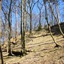 Photo of Wandern mit Hund in Hütteldorf