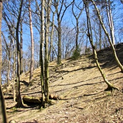Wandern mit Hund in Hütteldorf - Zu jeder Jahreszeit schöööön!