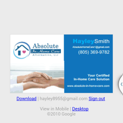 Absolute In Home Care Alternative