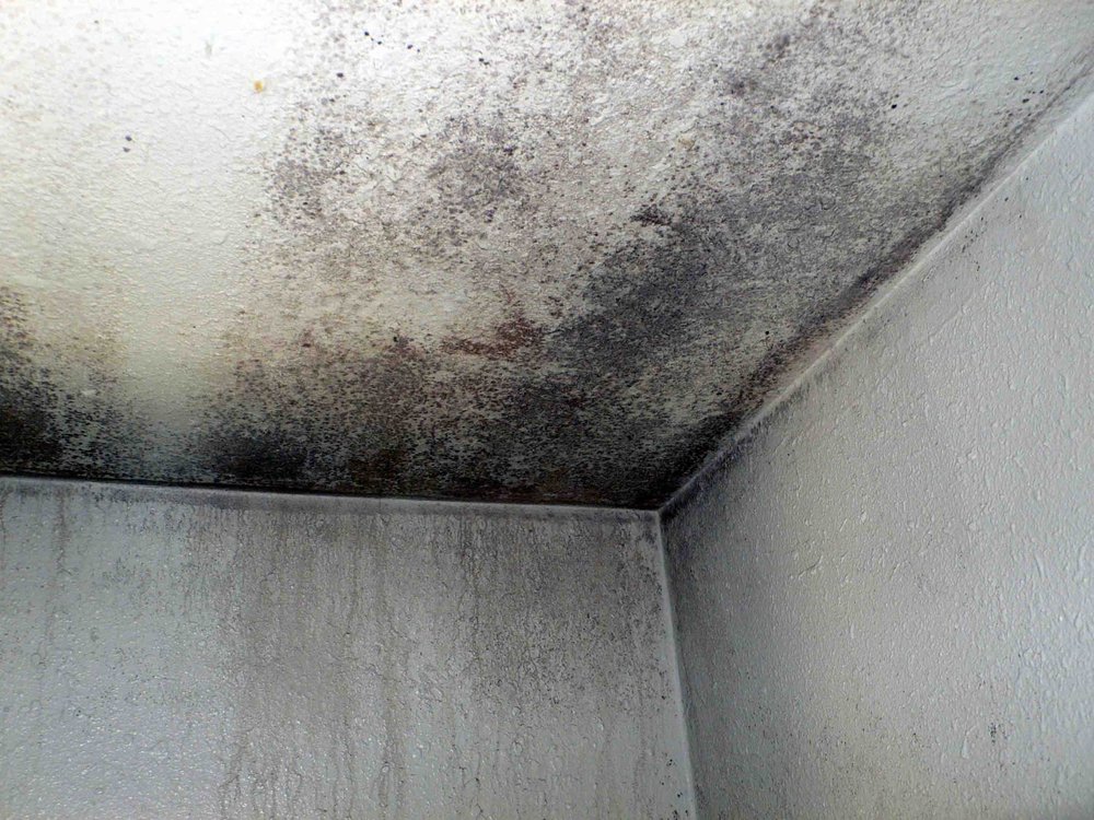 Slide of Sol Energy Partners