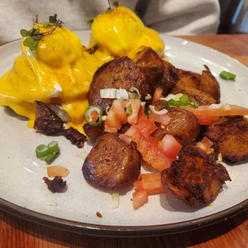 Tutu Lounge - Traditional eggs benedict - Breakfast & Brunch Near Me - San Rafael, California
