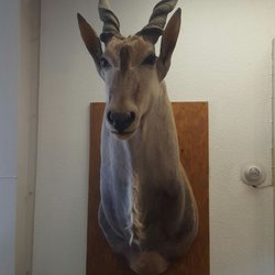 Carson Valley Garden & Ranch Center
