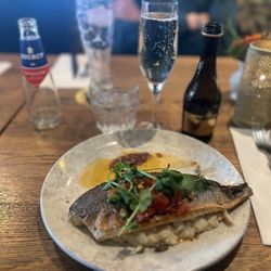 Kees - Seabass with risotto