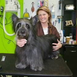 Delmar Doggie Design