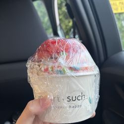 Yogurt & Such - Yogurt