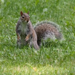 Ole Bull State Park
