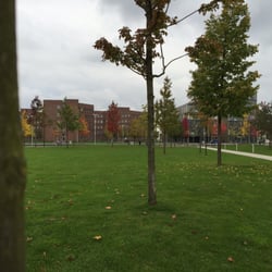 Krupp-Park - Herbstlaub auf dem Thyssen Campus
