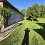 Photo of Aguilar Landscaping service