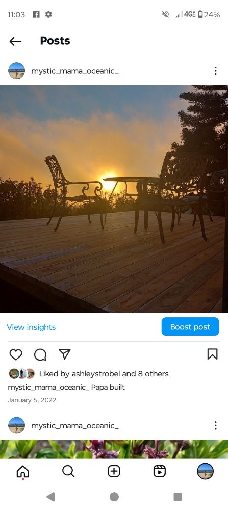 Slide of AMLSP Sustainable Lifestyle Solutions