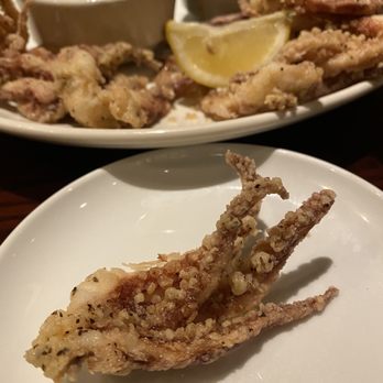 Carrabba's Italian Grill - I have never been served "legs" this huge EVER!  Disgusting. Not crispy. Greasy. The worst ever. - Italian Near Me - Webster, Texas