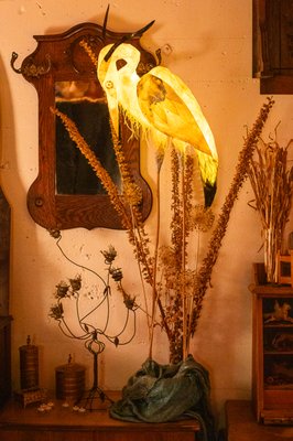 Secret Lantern Society by null