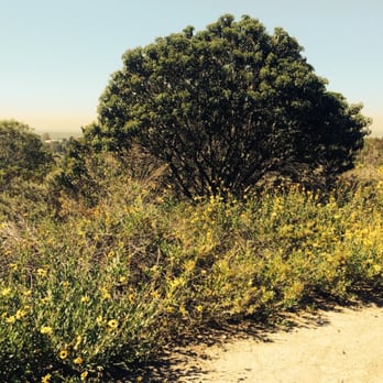 Arroyo Pescadero Park - Hiking Near Me - Whittier, California