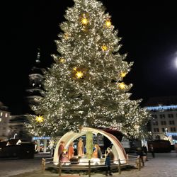 Aldi - Christmas Tree next to mall Aldi is located in.