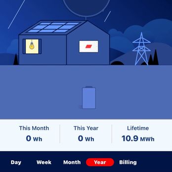 Parrot Solar - No usage for the year - Solar Installation Near Me - Jacksonville Beach, Florida Parrot Solar - No usage for the year - Solar Installation Near Me - Jacksonville Beach, Florida