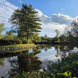 Johnston Memorial Park - An autumn view of the pond.