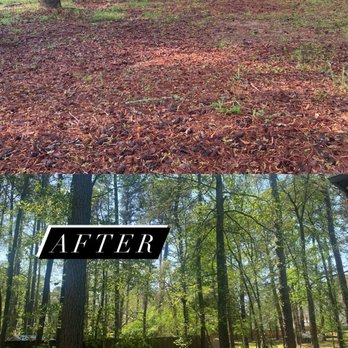 Greenleaf Yard Services - Yard cleanup - Tree Services Near Me