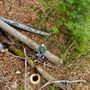 Photo of Affordable Tree Service