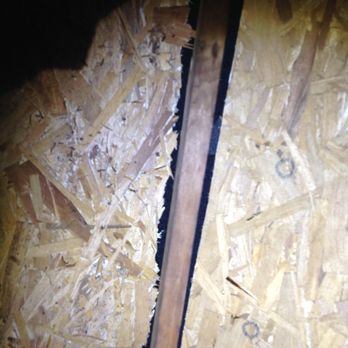 Roofa The - I do not have mice. This chewy looking cut was done by workers from the Roofa. - Roofing Near Me - Westbrook, Maine