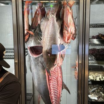 Holbox - Dry aged fish - Latin American Near Me - Los Angeles, California Holbox - Dry aged fish - Latin American Near Me - Los Angeles, California