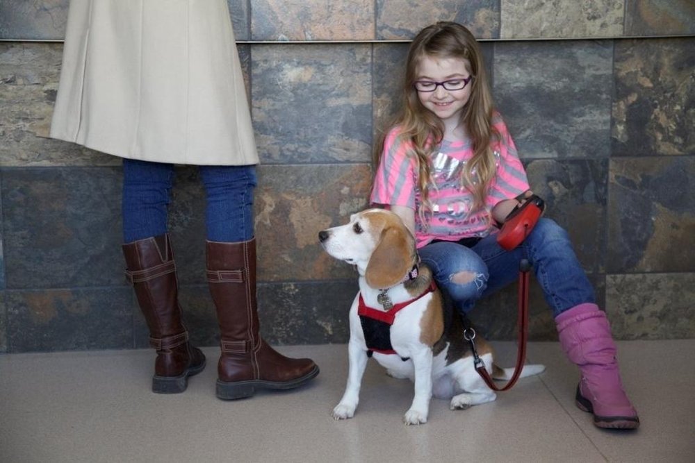 ANDERSON ANIMAL HOSPITAL Updated September 2024 30 Photos 60