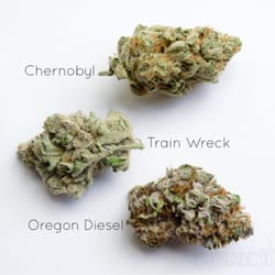 Cannabend
