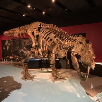 Bullock Texas State History Museum - Yes it has a dinosaur section. - Cinema Near Me - Austin, Texas Bullock Texas State History Museum - Yes it has a dinosaur section. - Cinema Near Me - Austin, Texas