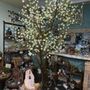 Photo of Icarus Creative Art Studio