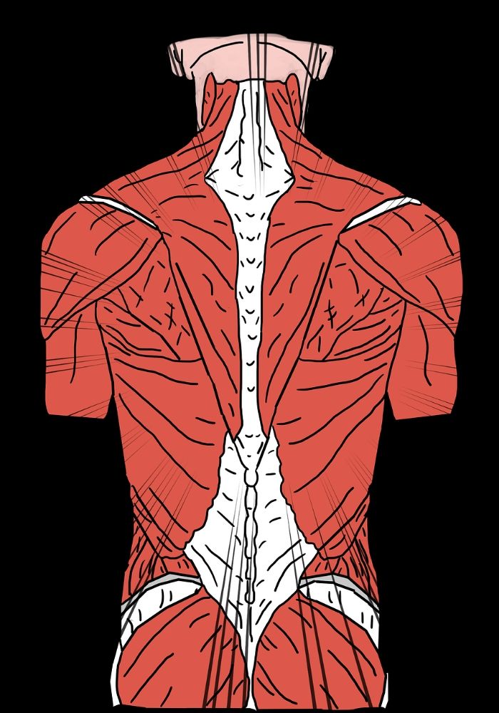 Massages by MChelle Logo