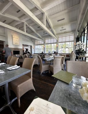 Tiny Boxwoods Austin by null