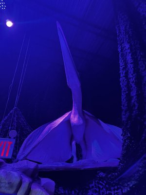 Dinos Alive Washington DC by null