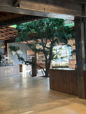 ERBA Sawtelle by null