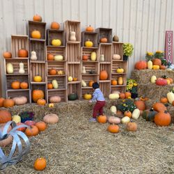 JB Pumpkin Patch - Photo-op near entrance