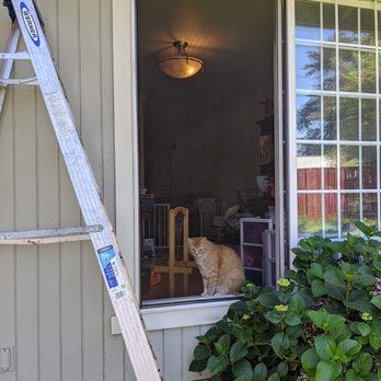 Screentasticpros - No screen frame to big or too  small. We're here to keep bugs out and pets in. - Door Sales/Installation Near Me