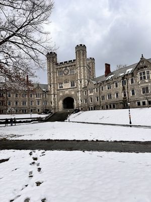 Princeton University by null