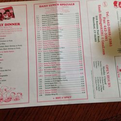 Sizzling Wok - Daily Lunch Specials