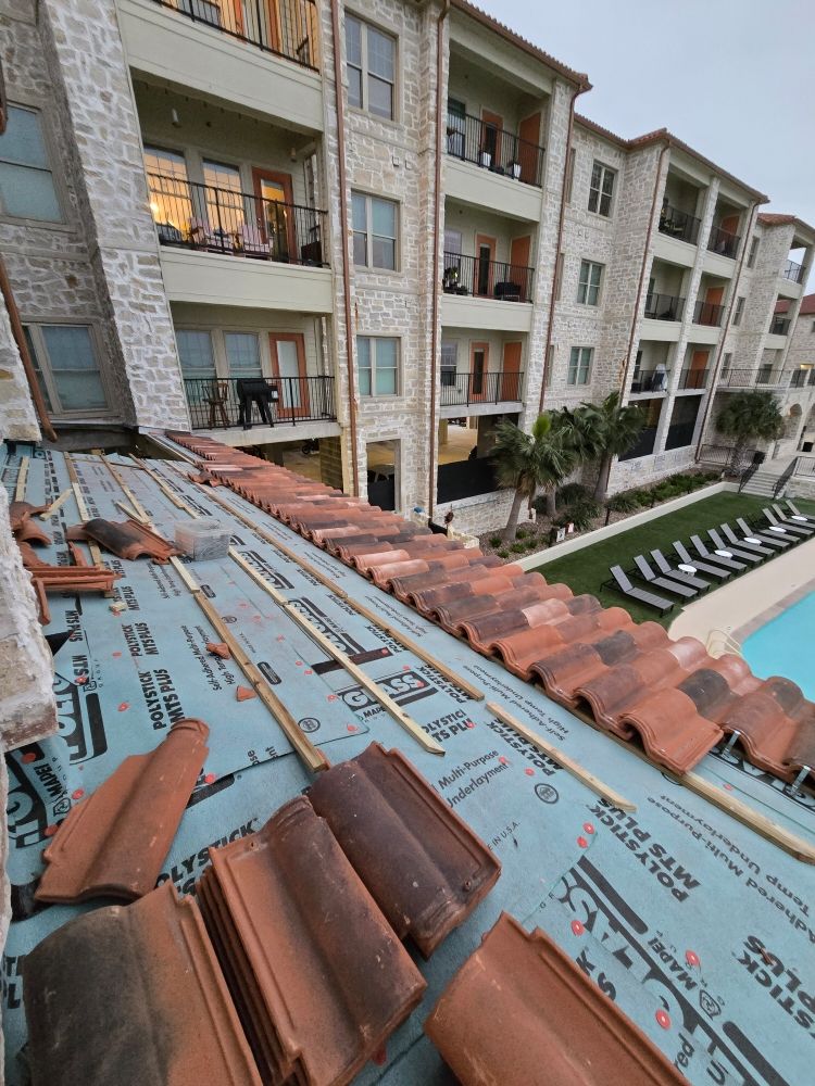 Slide of Shingles Express