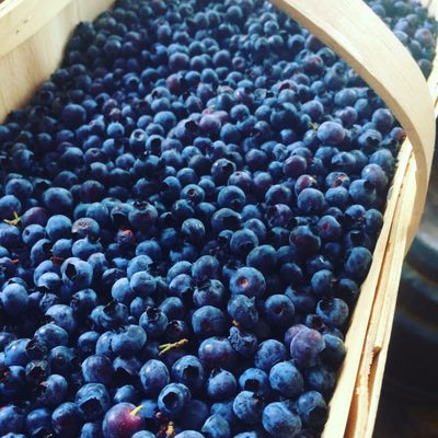 Côte de Bœuf by null