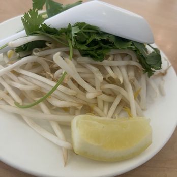 Saigon Express - Looks like the lemon has become the new stress ball on my social media feed. Would you squeeze ? - Vietnamese Near Me - Berkeley, California