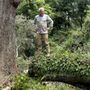 Photo of Gonzales Family Tree Service