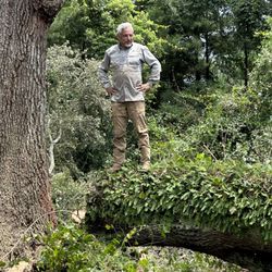 Gonzales Family Tree Service