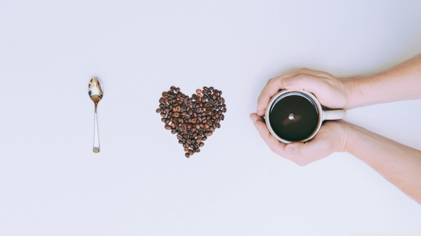 Wire & Steam Coffee Company by null