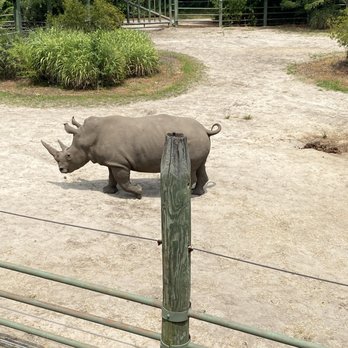 Virginia Zoo - Zoos Near Me - Norfolk, Virginia